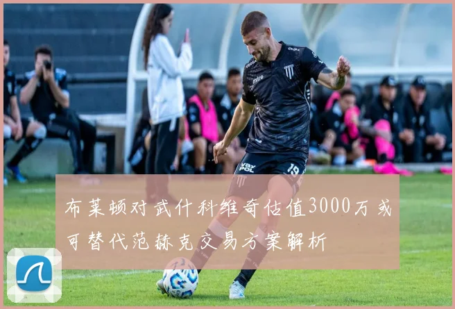 布莱顿对武什科维奇估值3000万或可替代范赫克交易方案解析